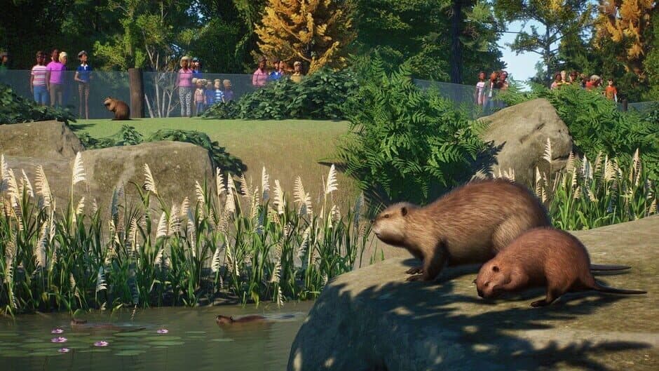 Скриншот 3 из Planet Zoo: North America Animal Pack