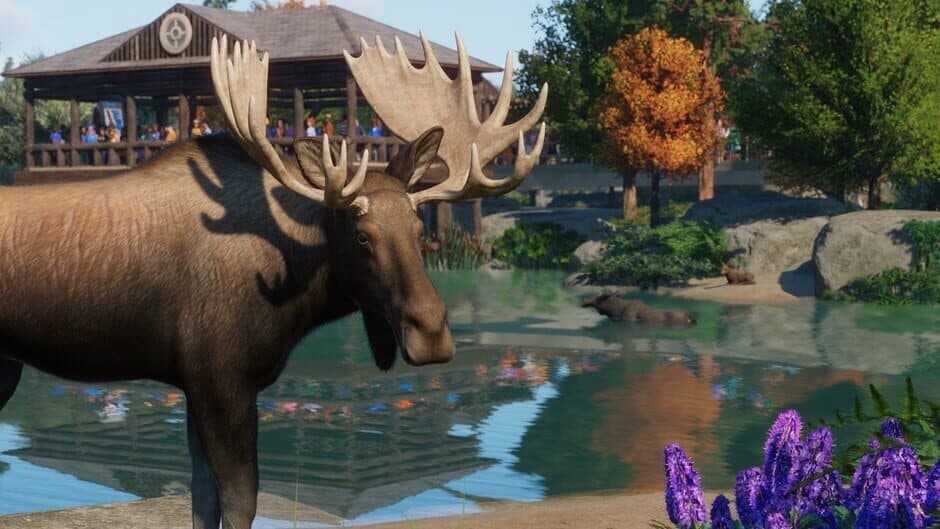 Скриншот 1 из Planet Zoo: North America Animal Pack