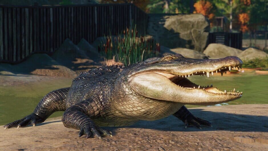 Скриншот 6 из Planet Zoo: North America Animal Pack