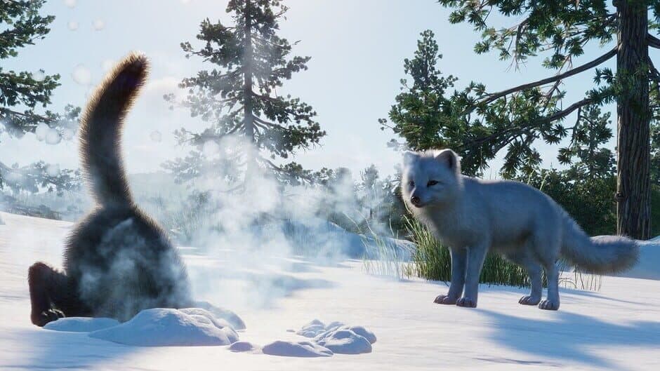 Скриншот 5 из Planet Zoo: North America Animal Pack