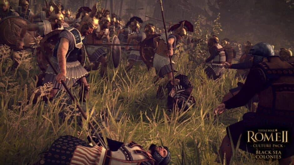 Скриншот 1 из Total War: Rome II - Black Sea Colonies