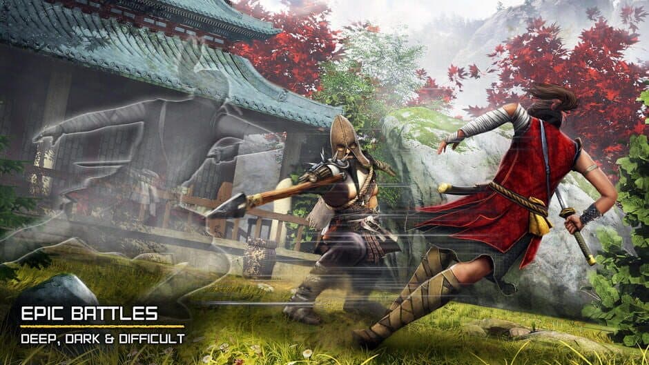 Скриншот 3 из Ryuko: Legend of Shadow Hunter