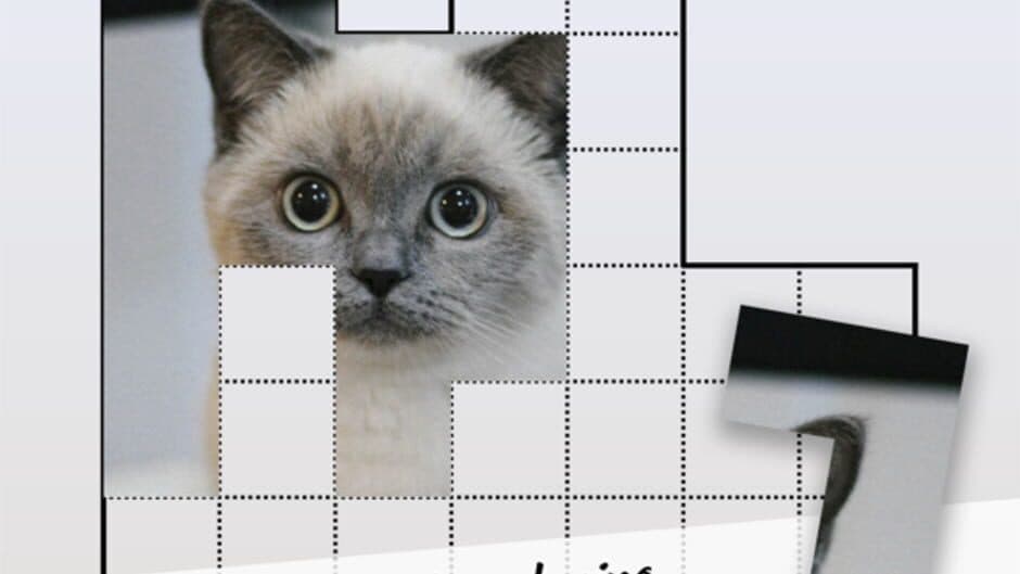 Скриншот 5 из Pictominoes
