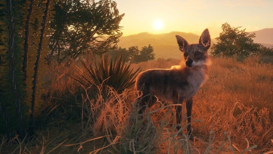 Скриншот 5 из TheHunter Call of the Wild: 2022 Edition