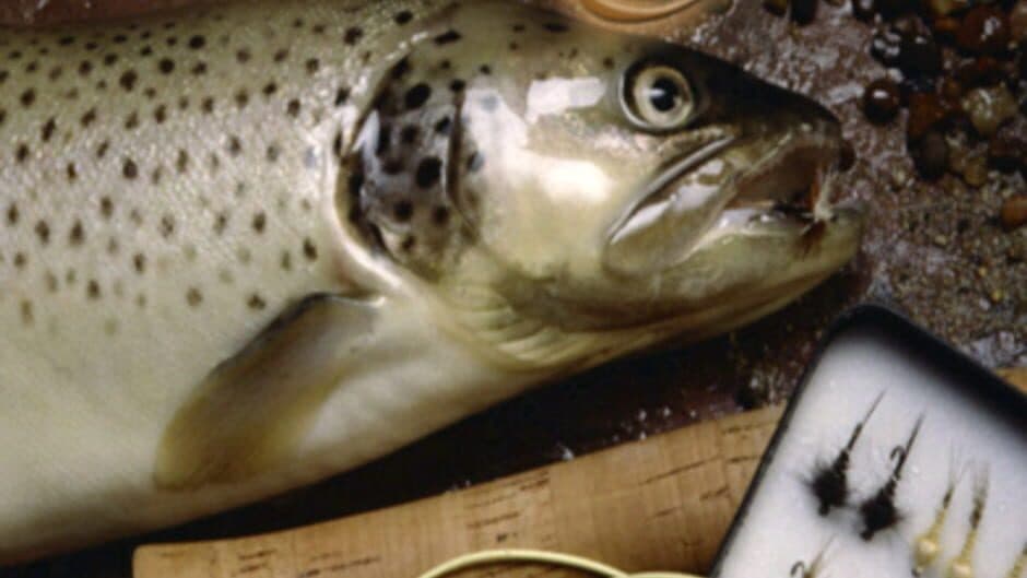 Скриншот 1 из i Fishing Fly Fishing Edition