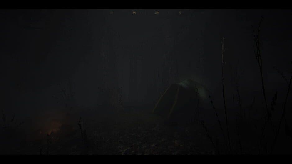 Скриншот 7 из The House in the Woods