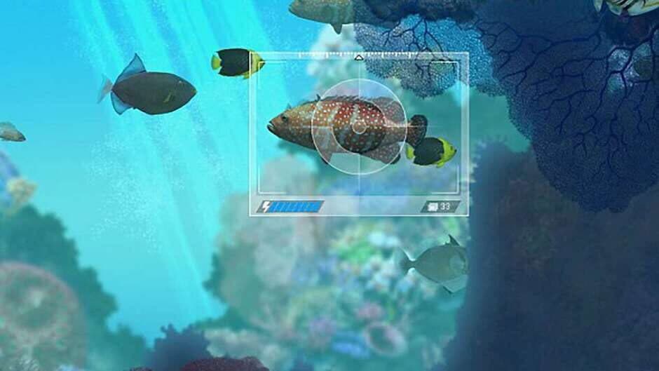 Скриншот 2 из Caribbean Sea Fishes