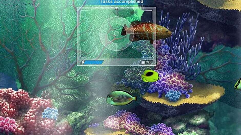 Скриншот 9 из Caribbean Sea Fishes