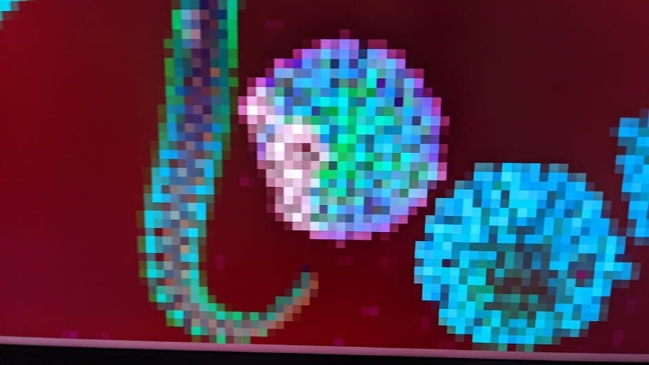 Скриншот 1 из The worm game
