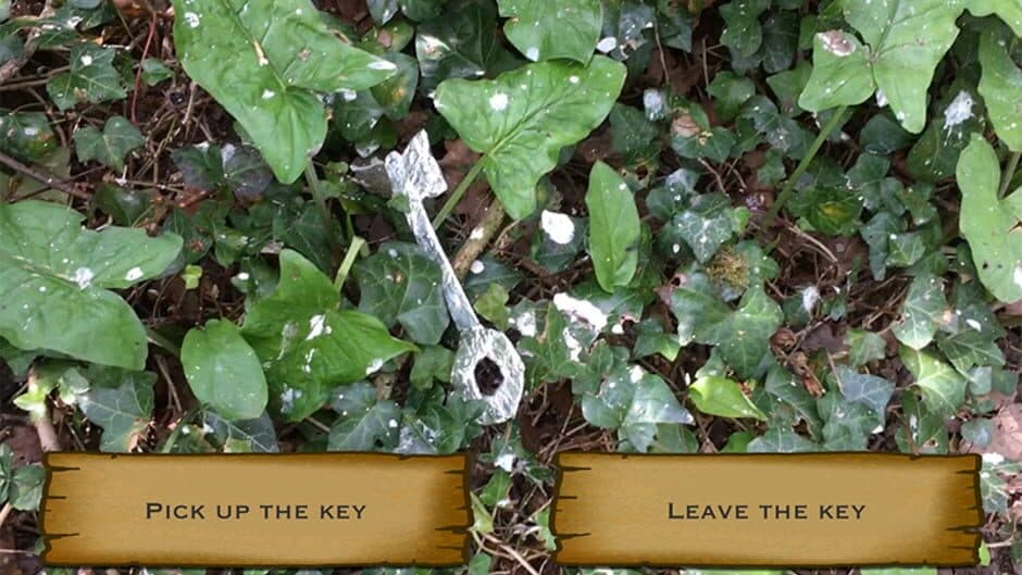Скриншот 2 из The Ancient Key