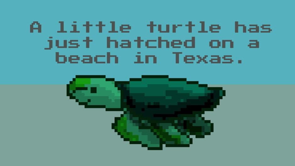 Скриншот 1 из A Little Turtle Has Just Hatched on a Beach in Texas.