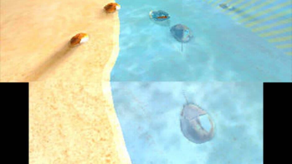 Скриншот 2 из Horseshoe Crab Rescue!