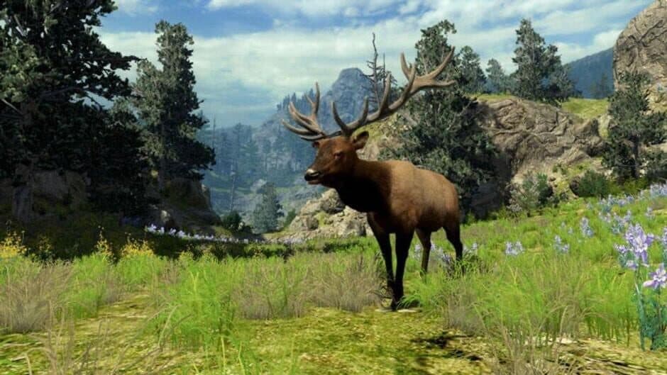 Скриншот 4 из Cabela's Big Game Hunter 2010