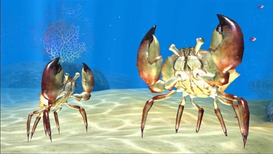 Скриншот 12 из Sealife Safari