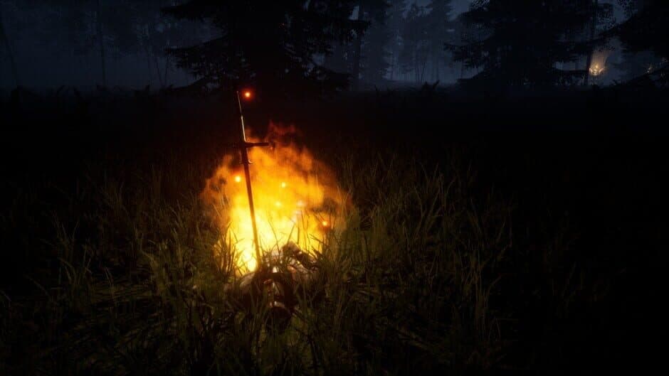 Скриншот 3 из Dark Forest: The Horror