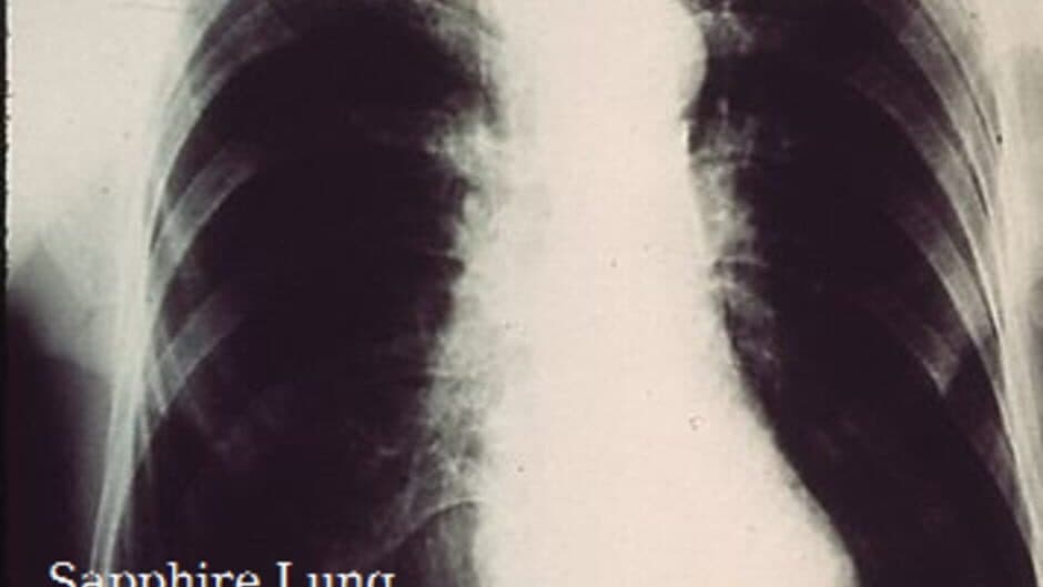 Скриншот 1 из Sapphire Lung