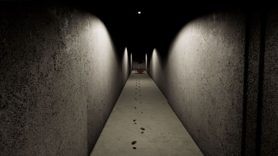 Скриншот 4 из The Observed
