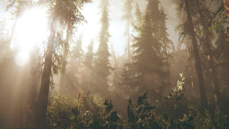Скриншот 1 из Rot: Purgatory Hill