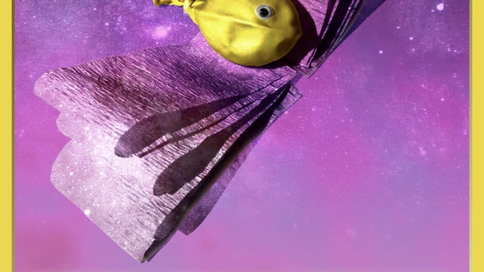 Скриншот 8 из Hypotheticards: a nature collection mystery!!