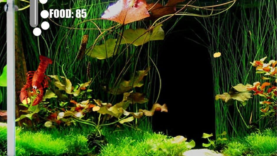 Скриншот 2 из Aquarium Life