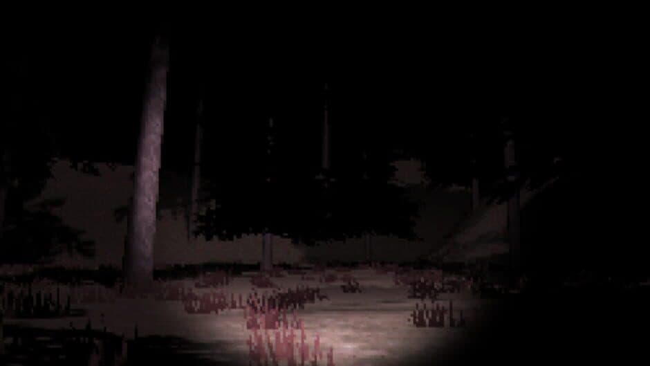 Скриншот 4 из Lost Player
