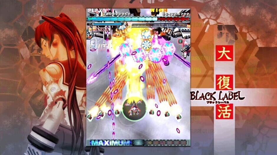 Скриншот 3 из DoDonPachi Resurrection