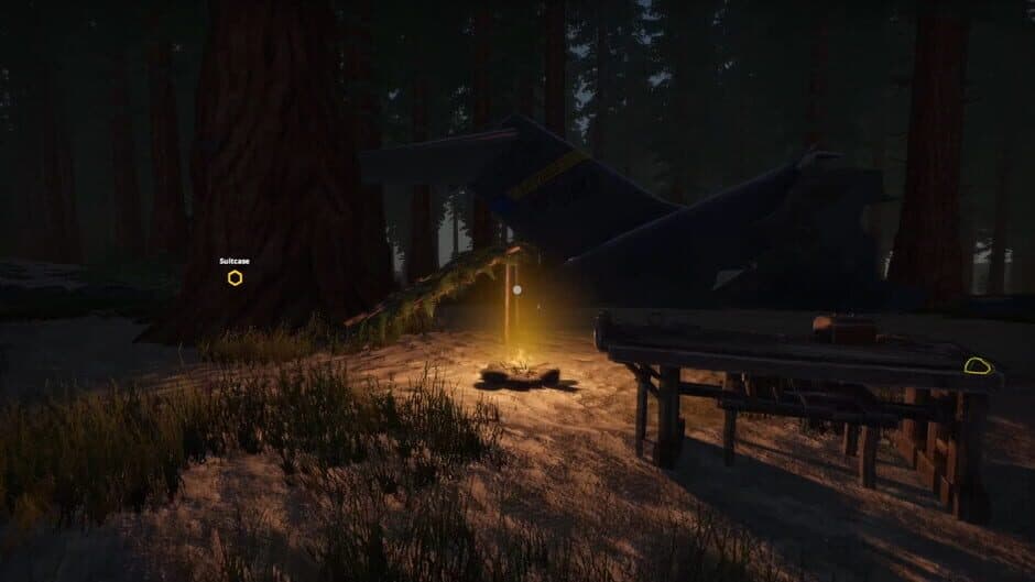 Скриншот 1 из Missing Plane: Survival