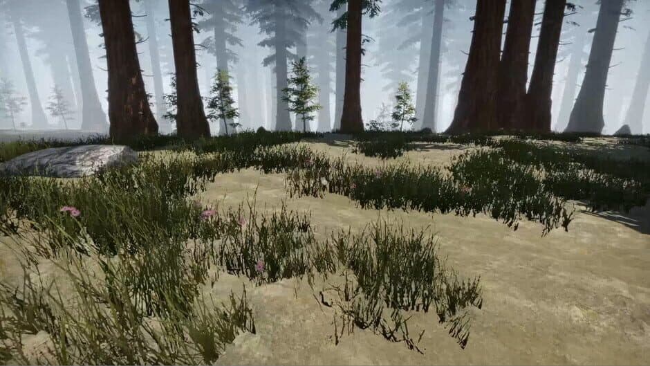 Скриншот 2 из Missing Plane: Survival