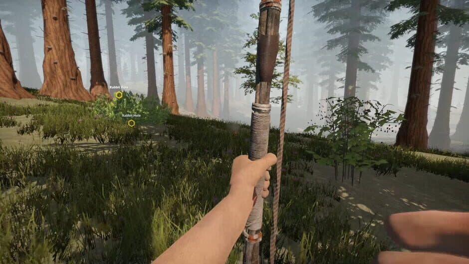 Скриншот 3 из Missing Plane: Survival