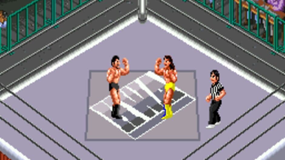 Скриншот 2 из Super Fire Pro Wrestling III: Easy Type