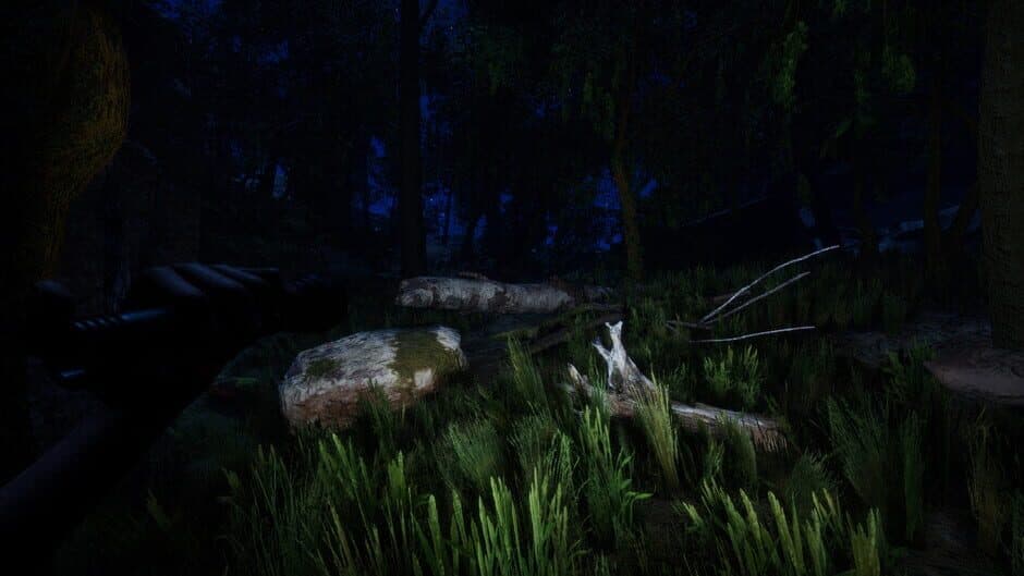 Скриншот 2 из Forest