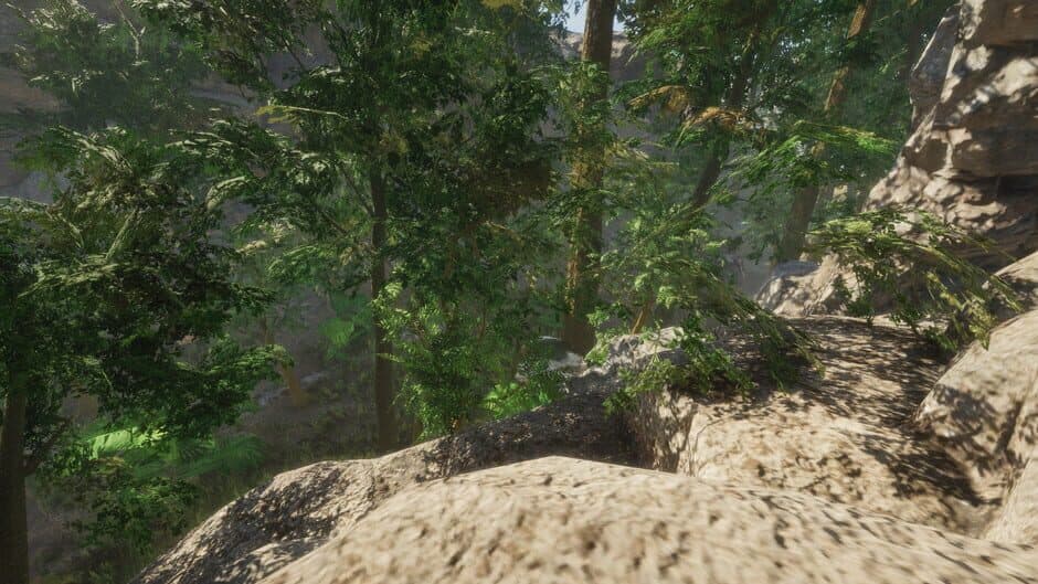 Скриншот 5 из Forest