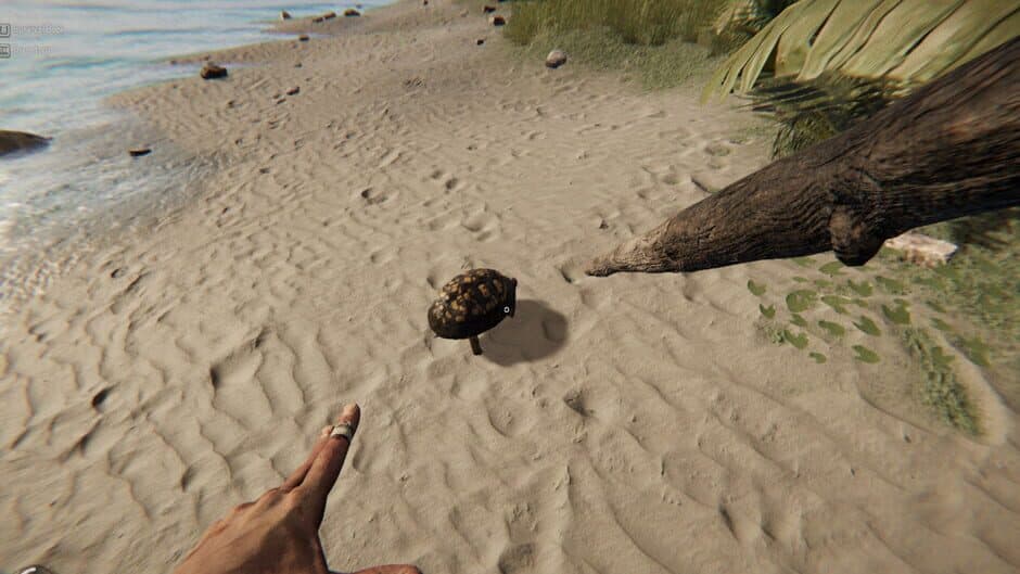 Скриншот 5 из Project Castaway