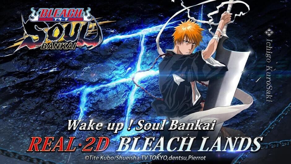 Скриншот 1 из Bleach: Soul Bankai