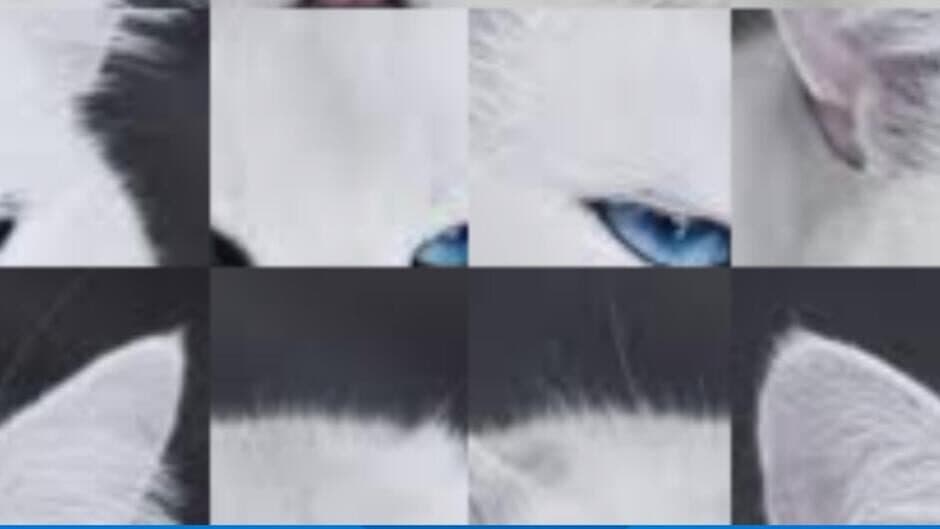 Скриншот 4 из Meong Puzzel