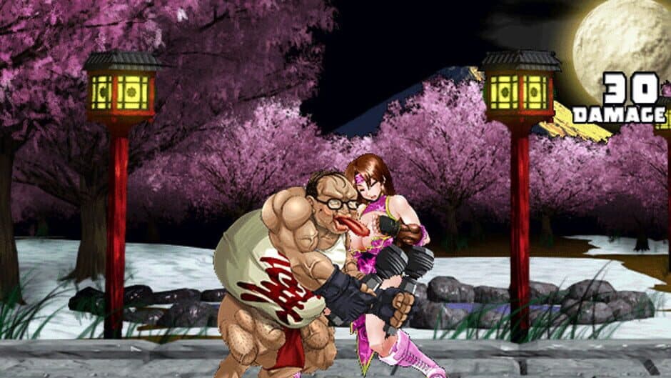 Скриншот 6 из Strip Fighter 5: Chimpocon Edition