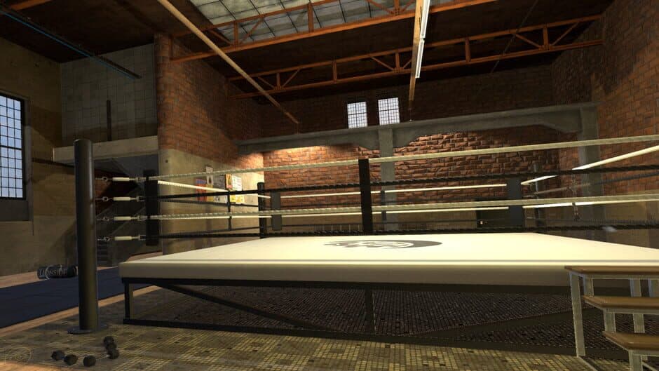 Скриншот 10 из Era of Combat: Boxing