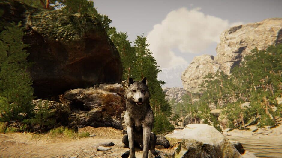 Скриншот 2 из Animal Simulator