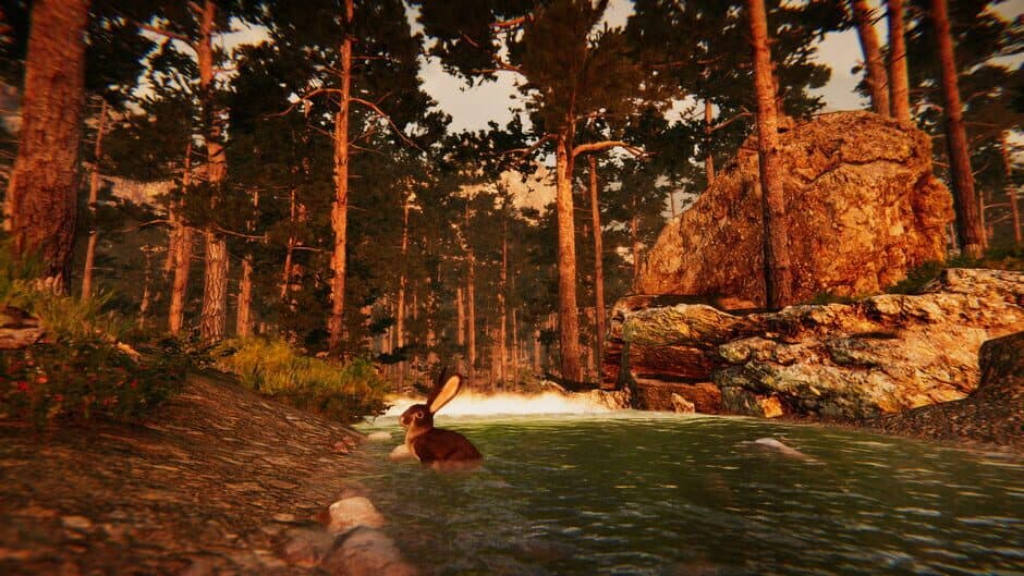 Скриншот 3 из Animal Simulator