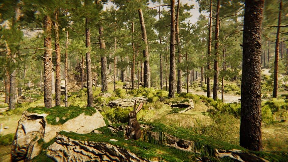 Скриншот 7 из Animal Simulator