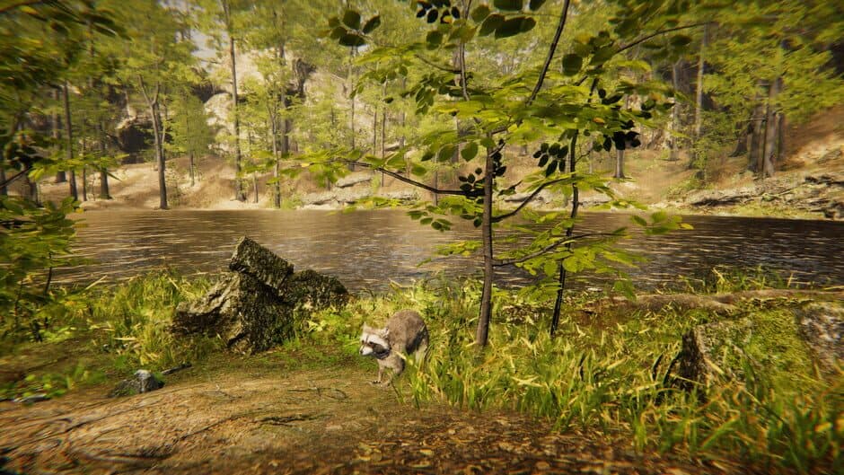 Скриншот 9 из Animal Simulator