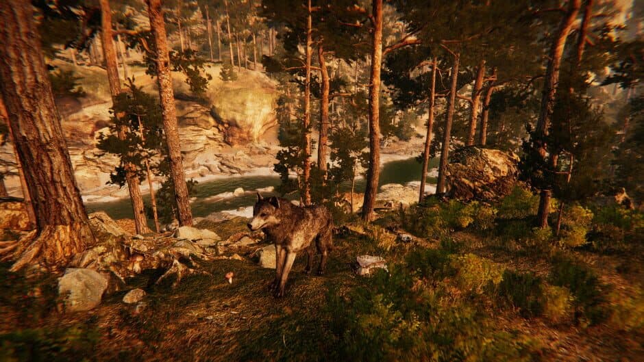 Скриншот 10 из Animal Simulator