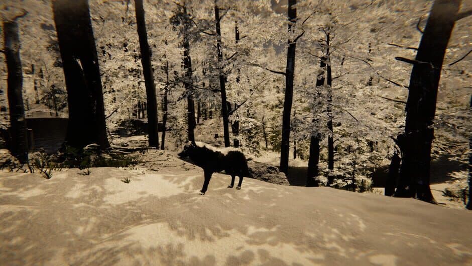 Скриншот 11 из Animal Simulator