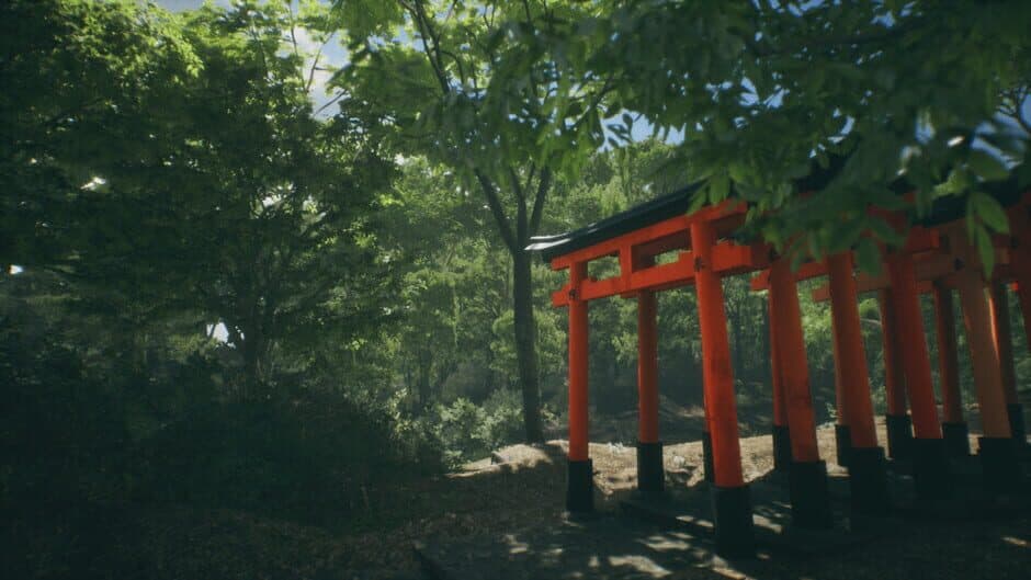 Скриншот 3 из Lushfoil Photography Sim