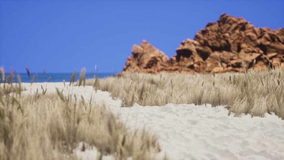 Скриншот 8 из Lushfoil Photography Sim