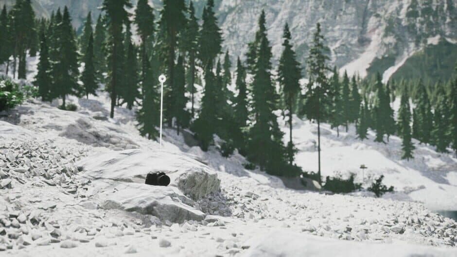 Скриншот 12 из Lushfoil Photography Sim