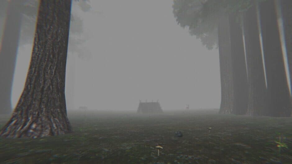 Скриншот 5 из Trapped in the Forest