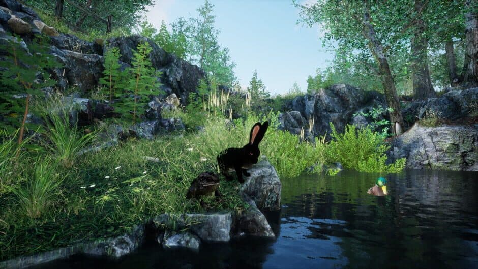 Скриншот 5 из Rabbit Meadow