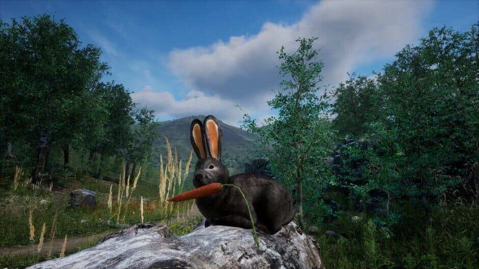 Скриншот 3 из Rabbit Meadow