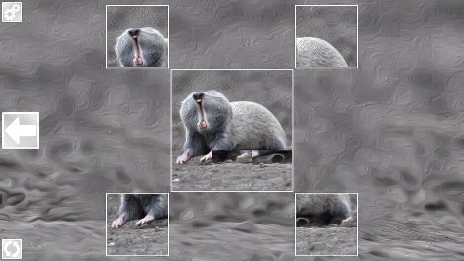 Скриншот 3 из Puzzle Art: Rodents